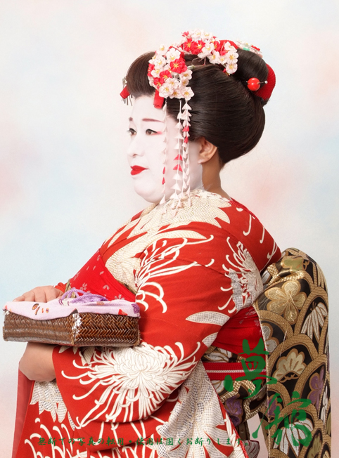 http://blog.yumeyakata.com/maiko/010405nora-2.jpg