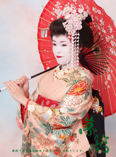 http://blog.yumeyakata.com/maiko/031504kiyo-2.jpg