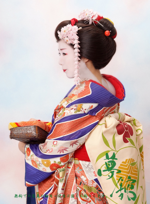 http://blog.yumeyakata.com/maiko/041513yuki-2.jpg