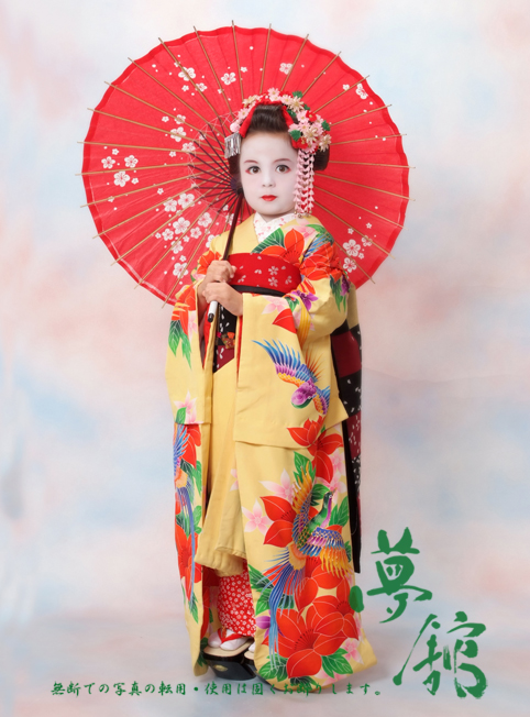 http://blog.yumeyakata.com/maiko/041901-3.jpg