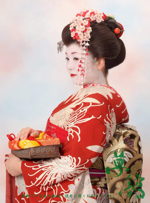 http://blog.yumeyakata.com/maiko/100107mai-2.jpg