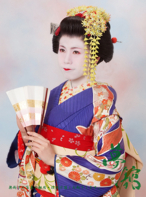 http://blog.yumeyakata.com/maiko/310102.jpg