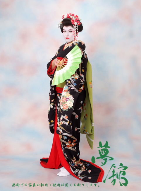 http://blog.yumeyakata.com/maiko_eng/040203megan-3.jpg