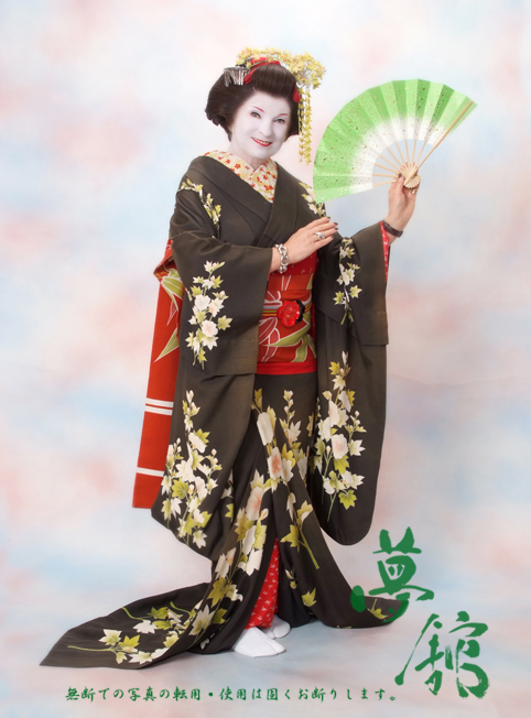 http://blog.yumeyakata.com/maiko_eng/041903page-1.jpg