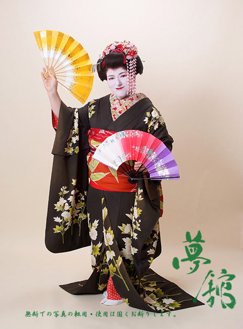 http://blog.yumeyakata.com/maiko_eng/92511.jpg